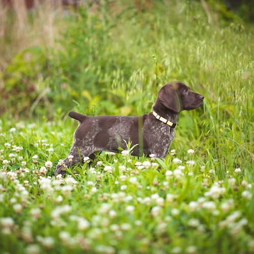 pexels-brixiv-8254913 pexels-brixiv-8254913